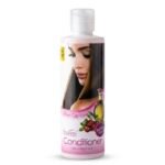Conditioner